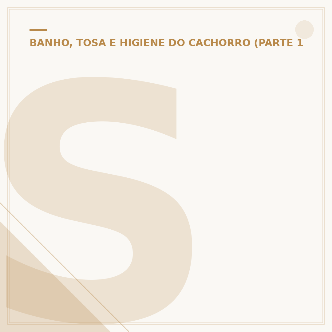 Senac banho e tosa: conheça os cursos e carreiras