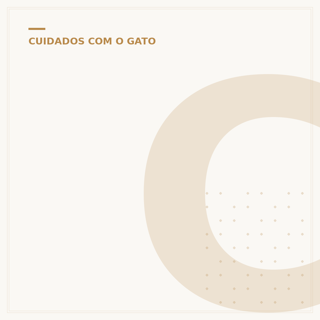 Como saber o sexo de um gato filhote
