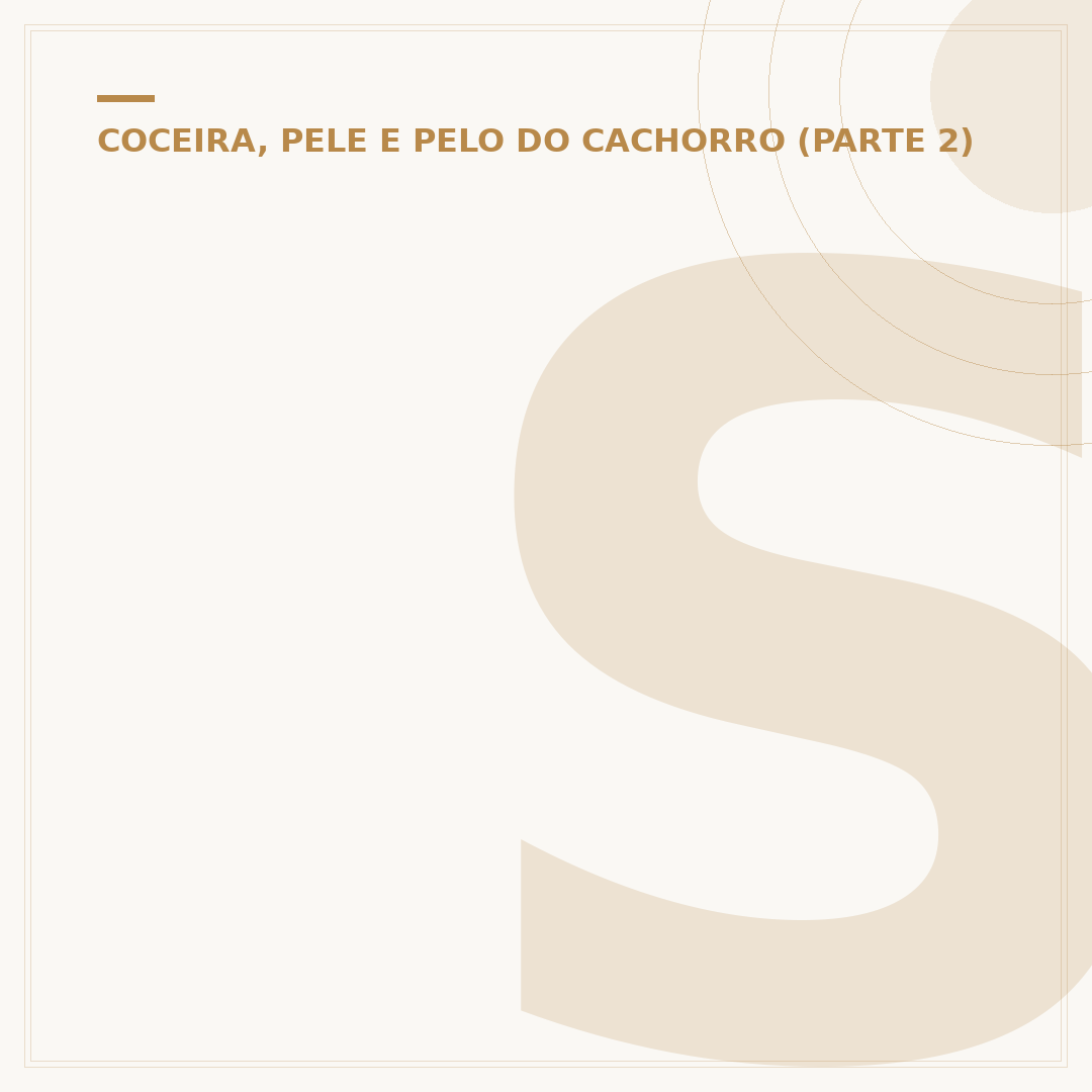 Shampoo anti coceira para cachorro