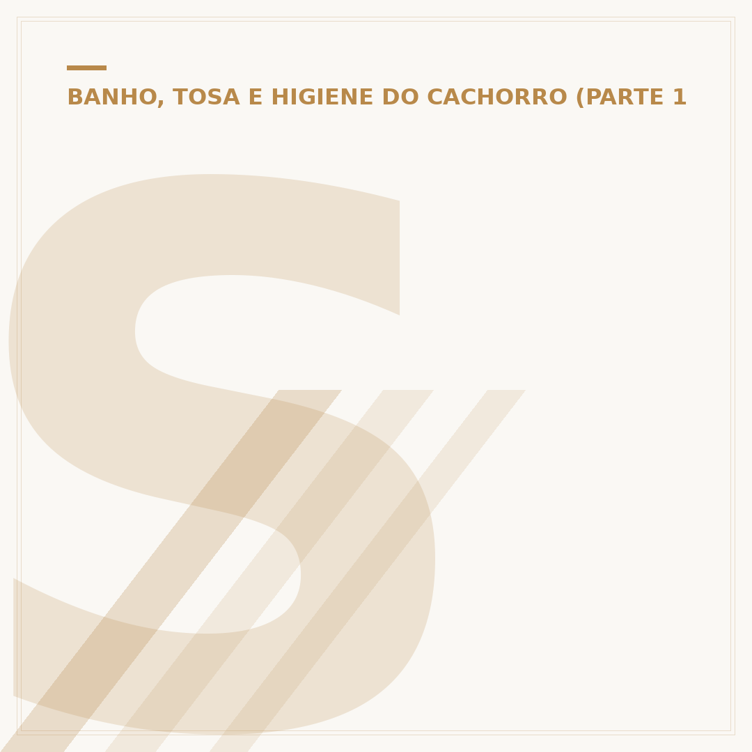 Shampoo cheiroso para cachorro: como escolher e usar