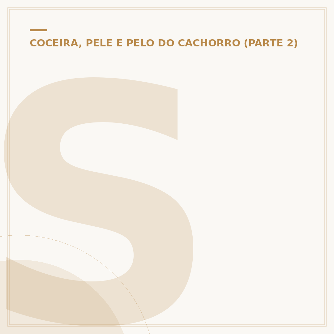 Shampoo para dermatite seborreica em cachorro