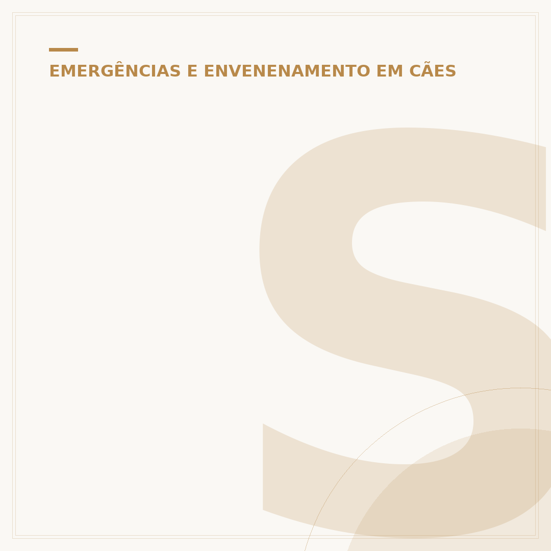 Sinais de envenenamento em cachorro: como identificar e agir