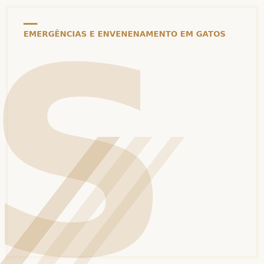 Sinais de envenenamento em gatos: o que observar e como agir