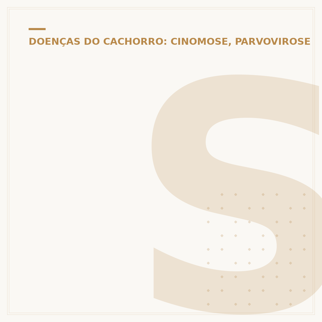 Sinais de raiva no cachorro: como identificar e agir