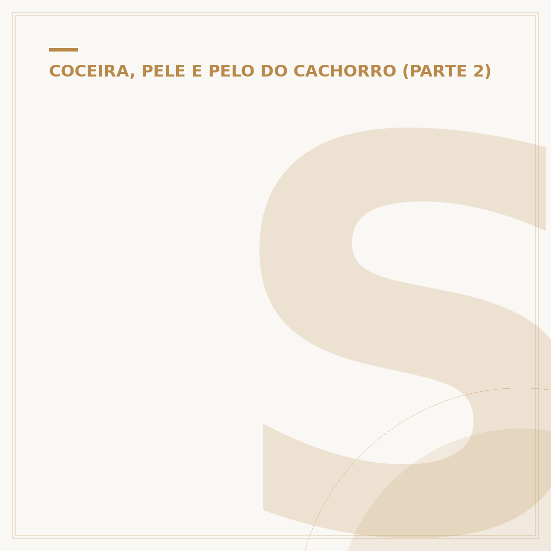 Sinais de sarna em cachorro: como identificar e agir