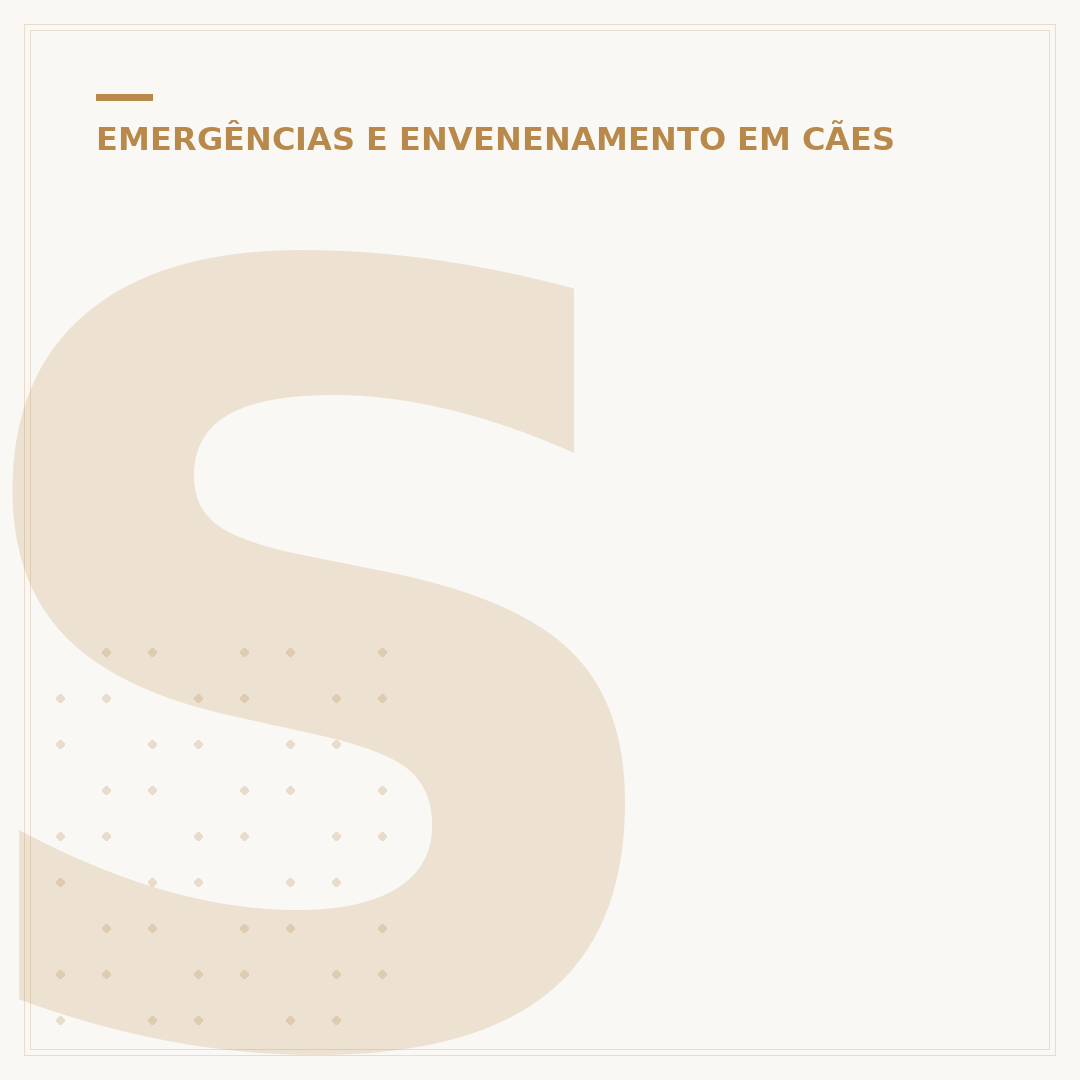 Sintomas de cachorro envenenado: o que fazer?