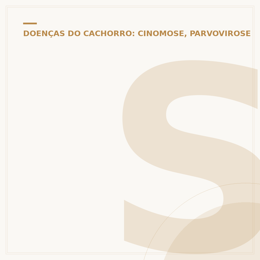 Sintomas de raiva em gatos: como identificar a doença