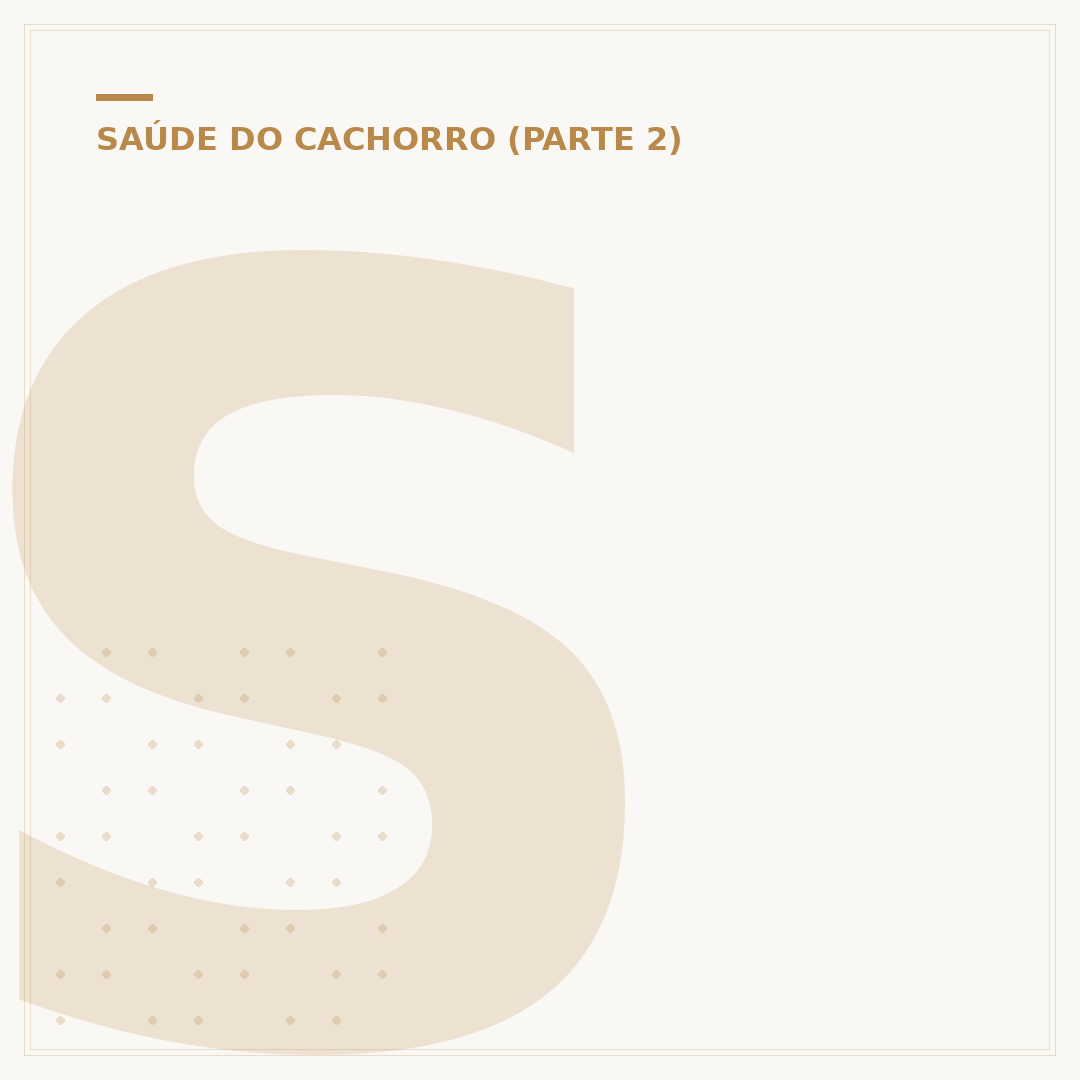 Site do Cachorro 1337: o que é e como acessar