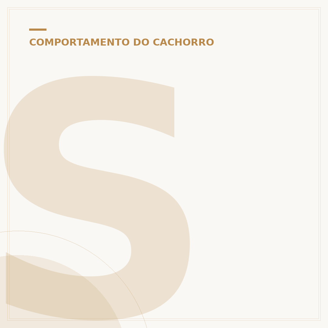 Som para cachorro dormir: sons que acalmam e melhoram o sono