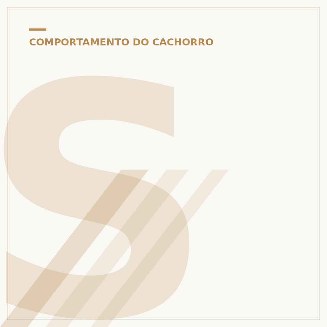 Sonha com cachorro branco: significados e interpretações