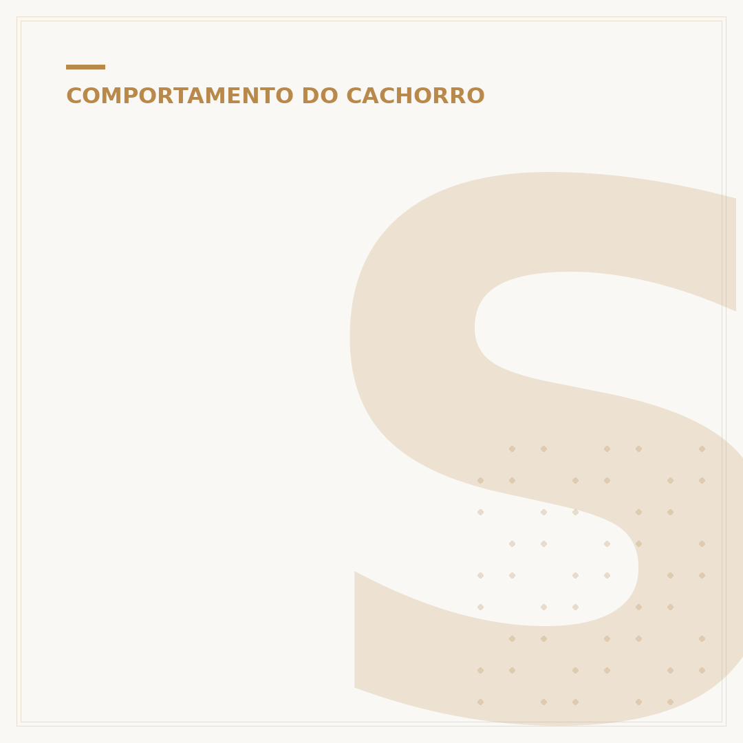 Sonha com cachorro preto: significados e interpretações