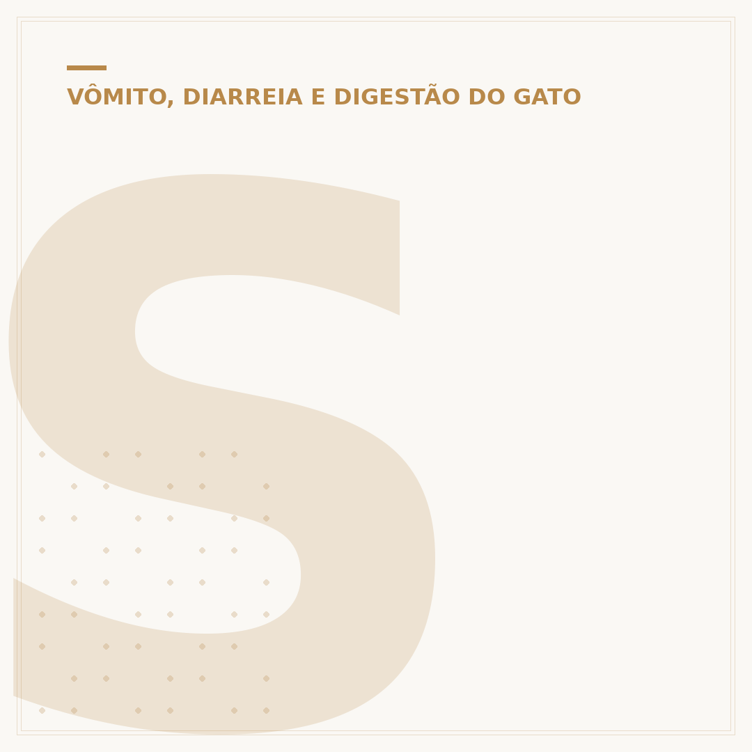 Sonha com coco de gato: significados e interpretações
