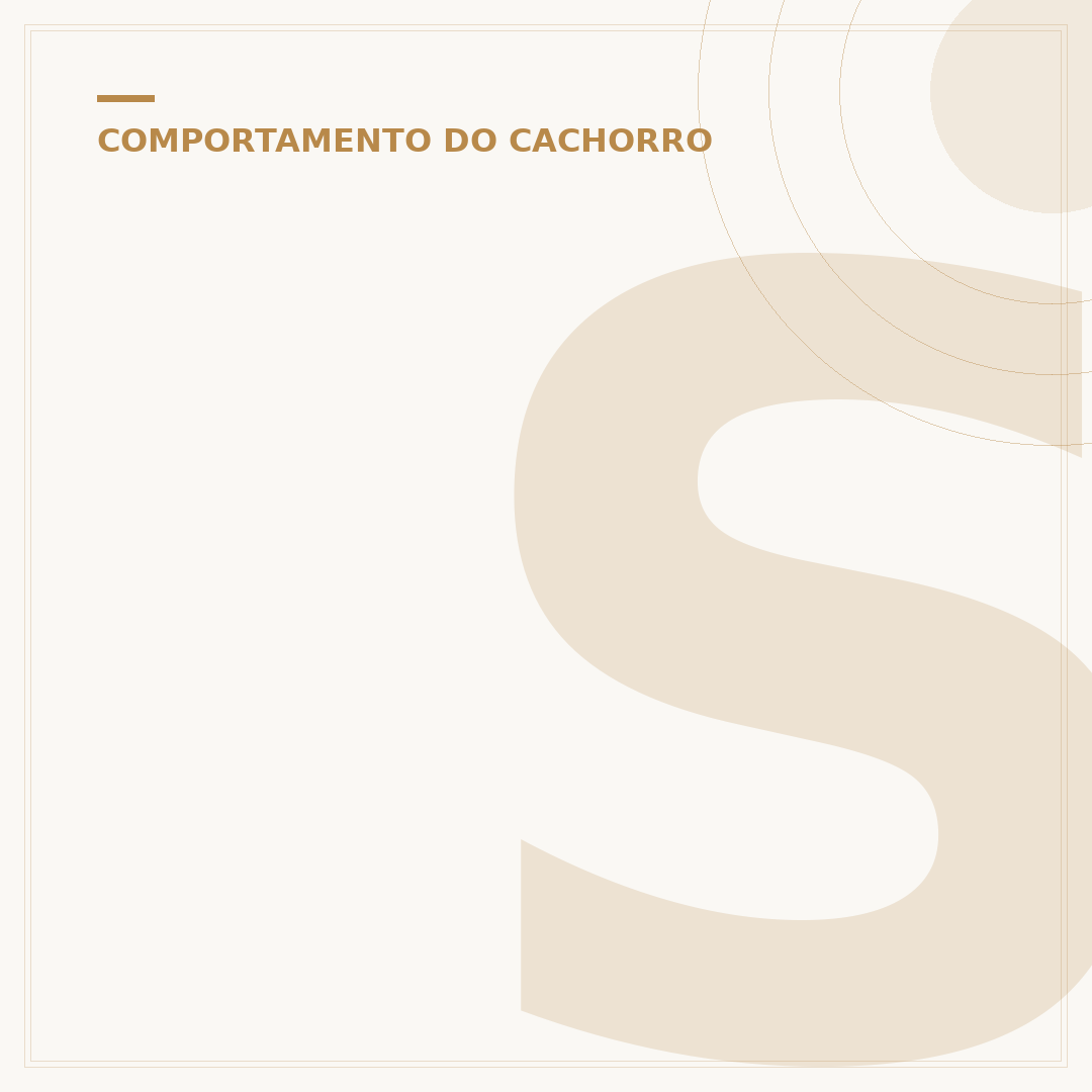 Sons de cachorro chorando: o que significam e como agir