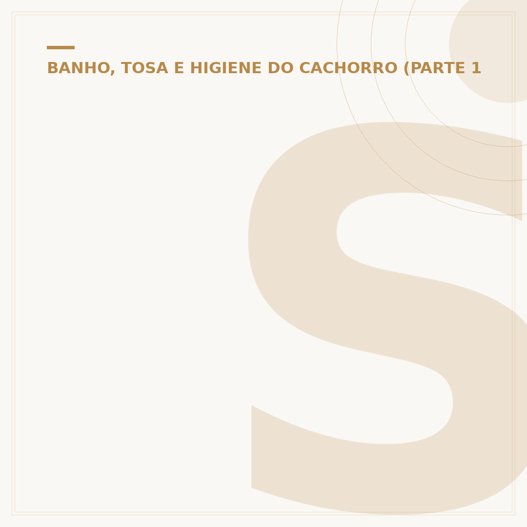 Soprador para banho e tosa
