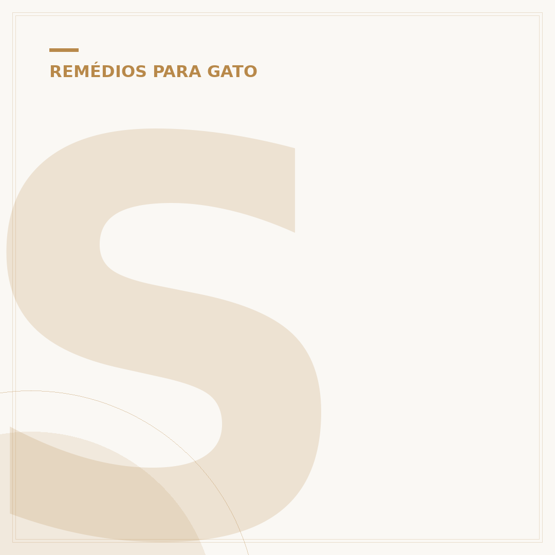 Soro para gato: entenda quando e como usar