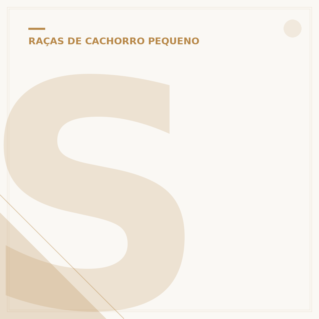 Spitz Alemão: características, cuidados e comportamento
