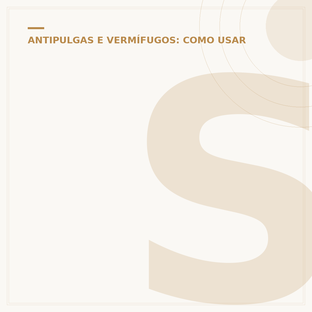 Spray antipulgas: como escolher e aplicar com segurança