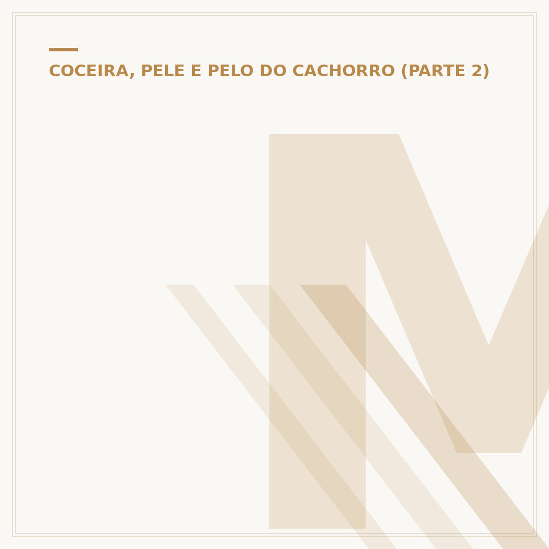 Melhor spray para dermatite canina: opções e cuidados