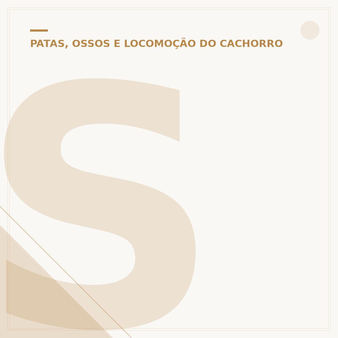 Suporte para cachorro andar: dicas para escolher