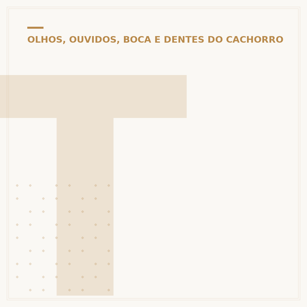 Tala para orelha de cachorro: quando usar e como funciona