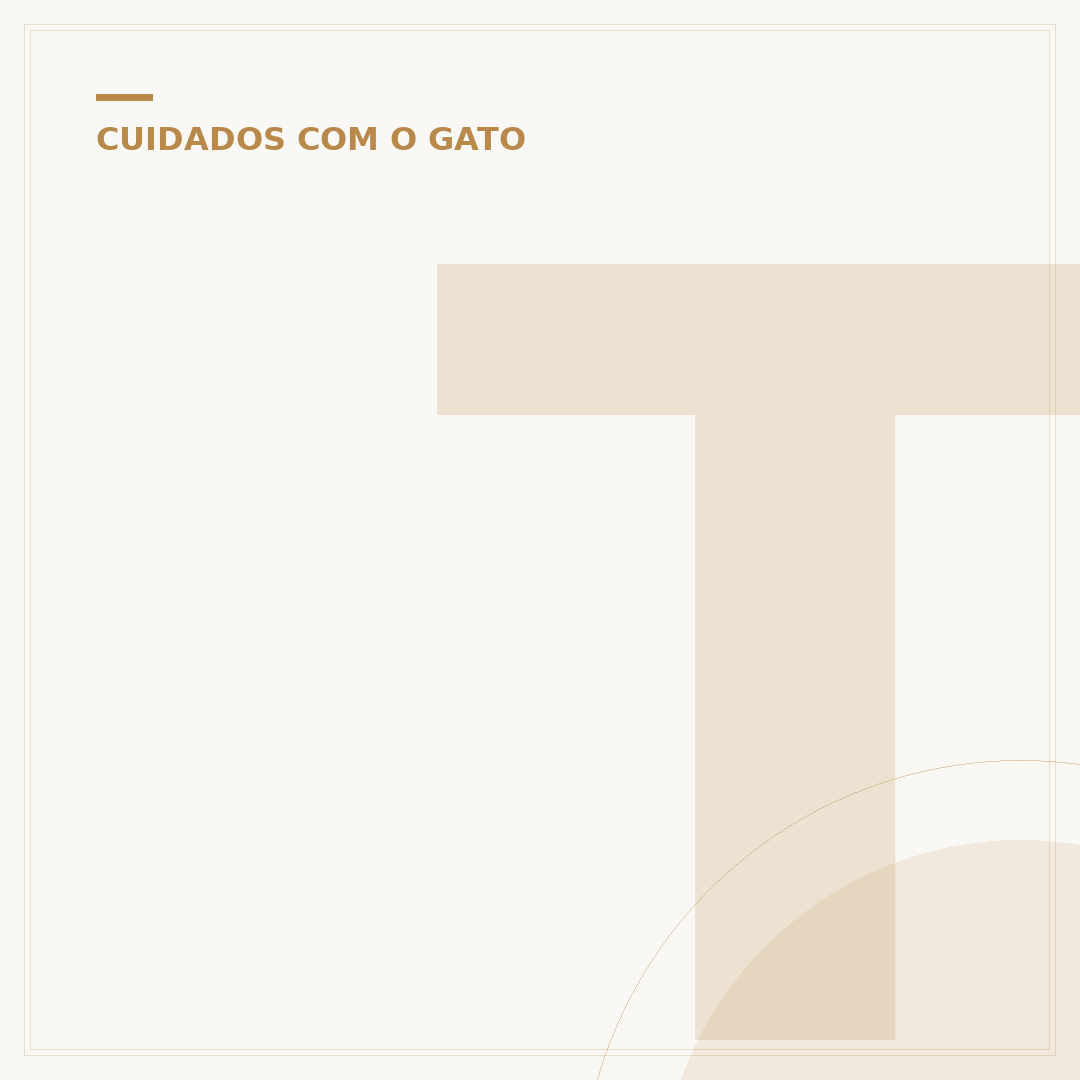 Tamanho do cérebro do gato