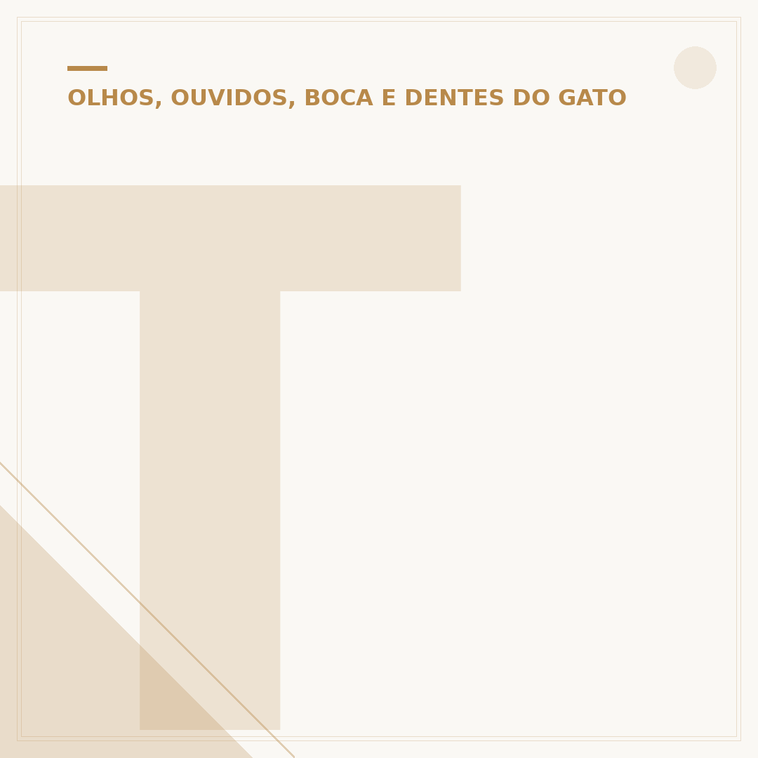 Tártaro em gatos
