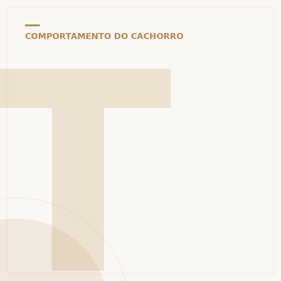 Tela para cachorro não fugir: soluções para segurança