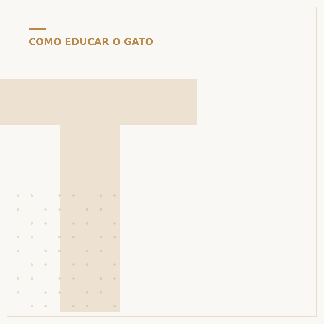 Tem como adestrar gato? Sim, com paciência e técnica