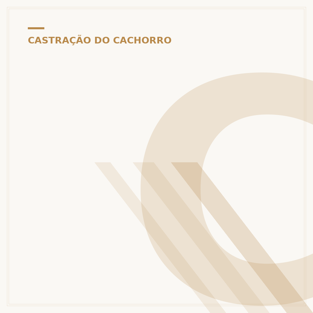 Com quanto tempo pode castrar um cachorro?
