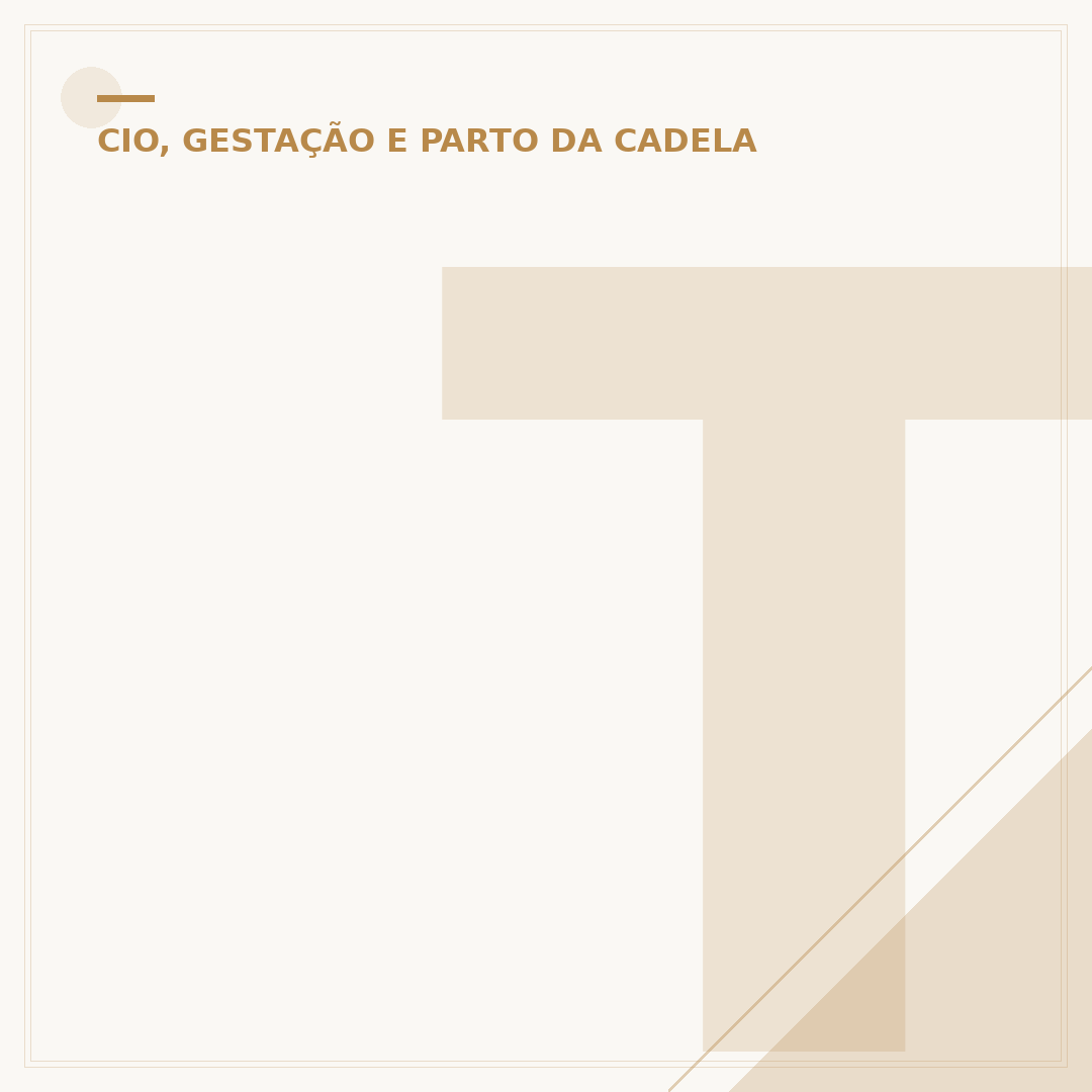 Tempo de gravidez de um cachorro
