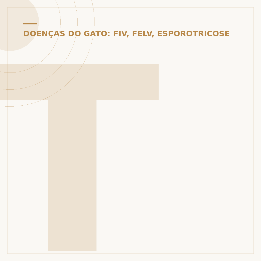 Teste FELV em gatos: o que é e por que é importante