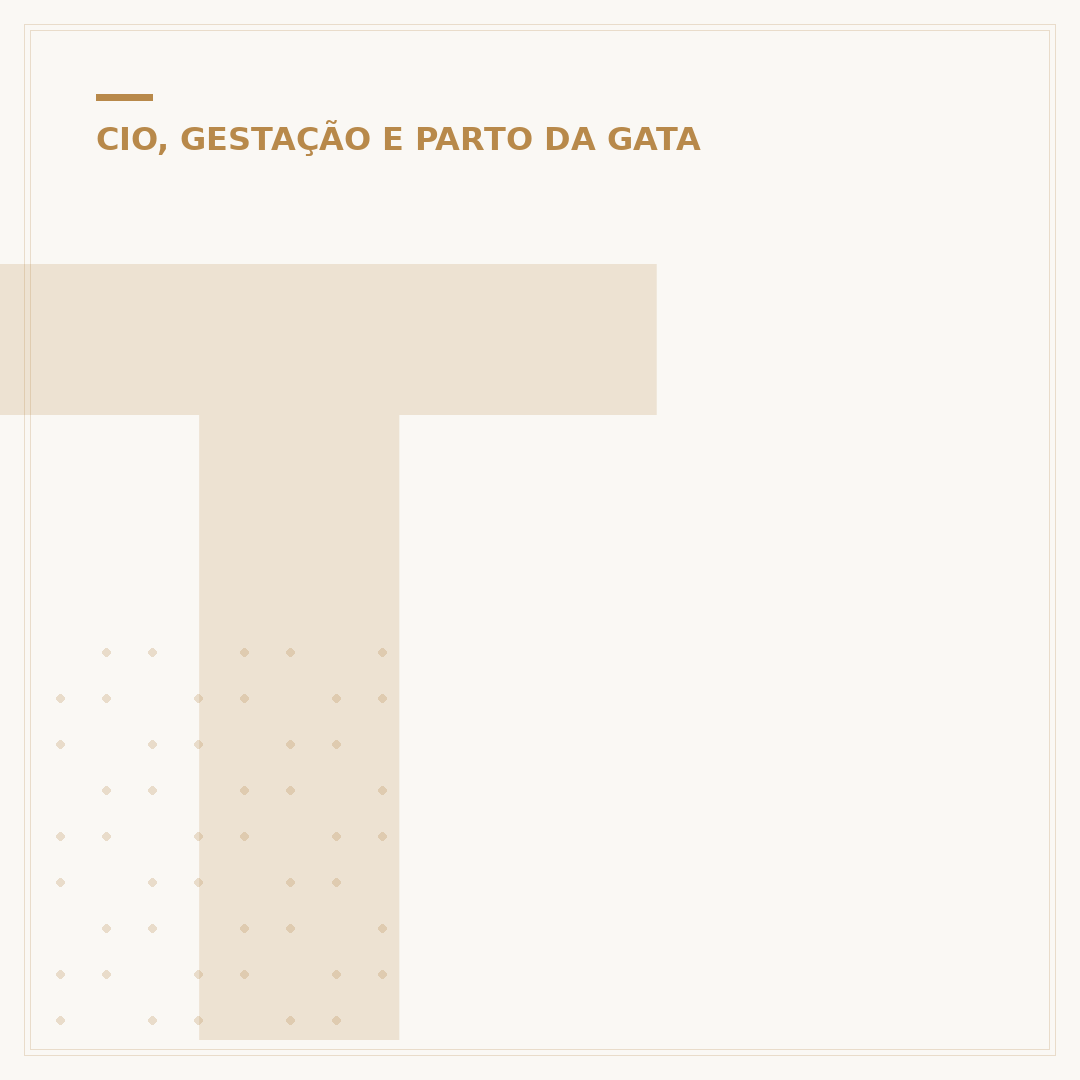 Teste de gravidez para gatos caseiro: sinais e cuidados