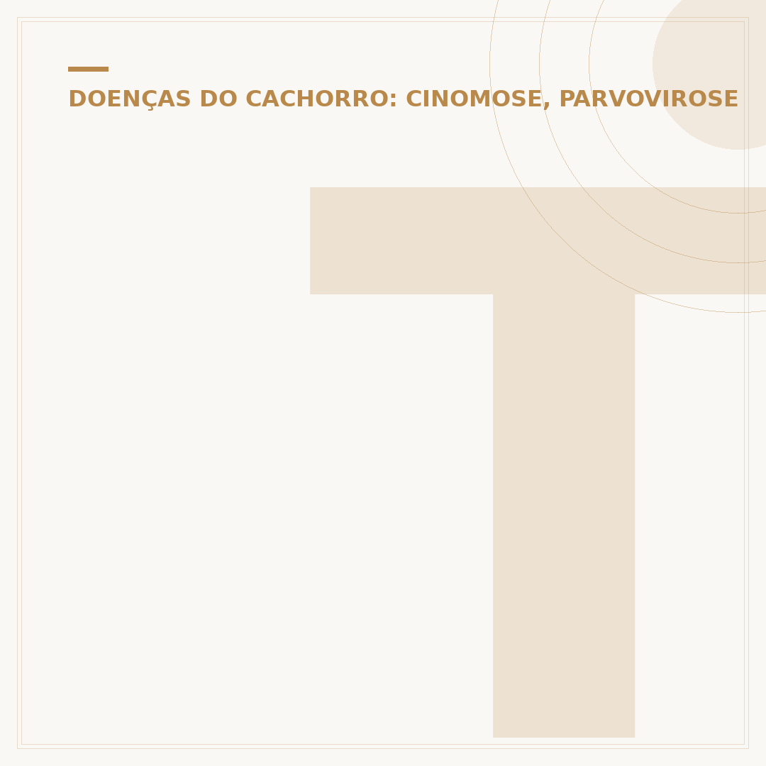 Teste de parvovirose: quando e como fazer?
