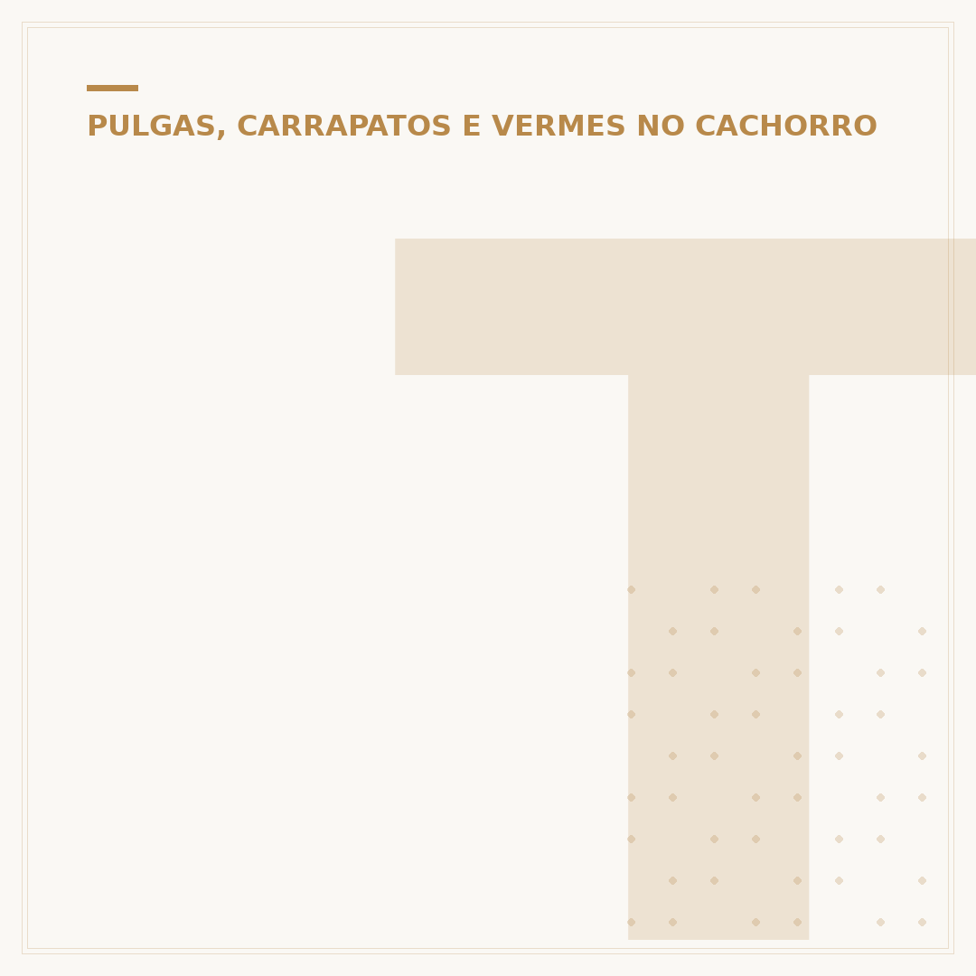 Teste rápido doença do carrapato: como funciona?