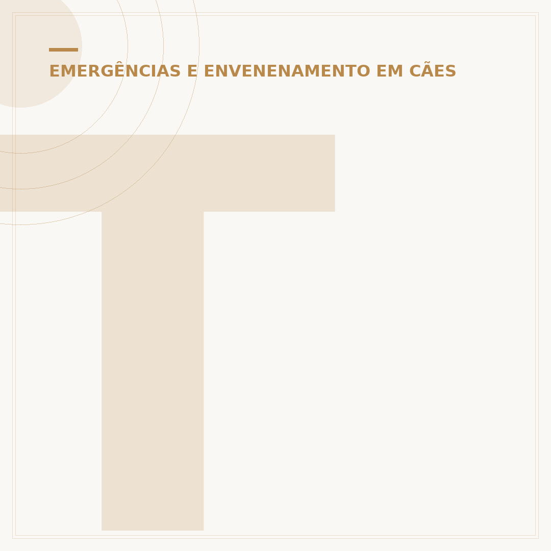 Texto emocionante sobre cachorro que morreu