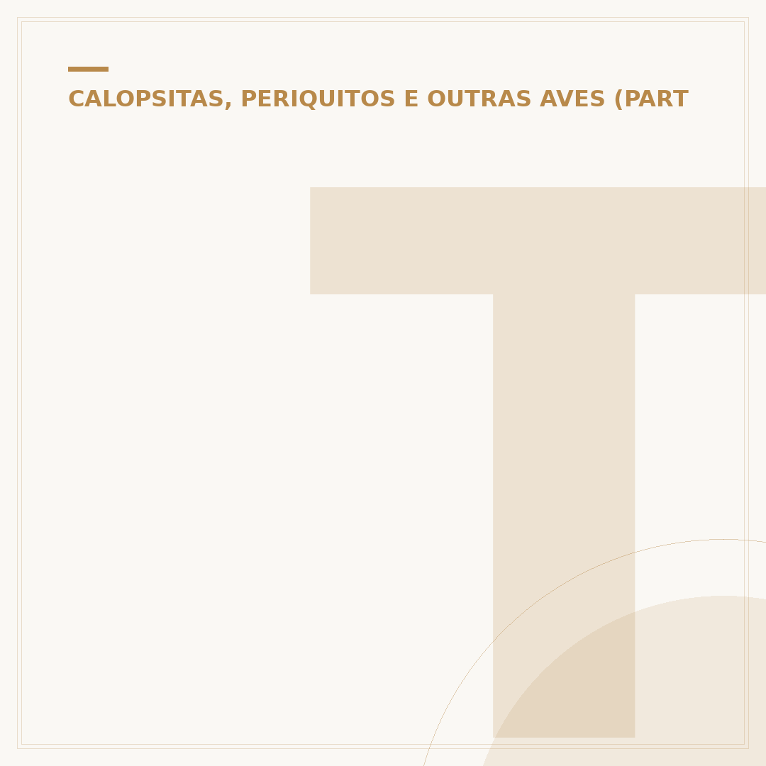 Tipos de canário belga