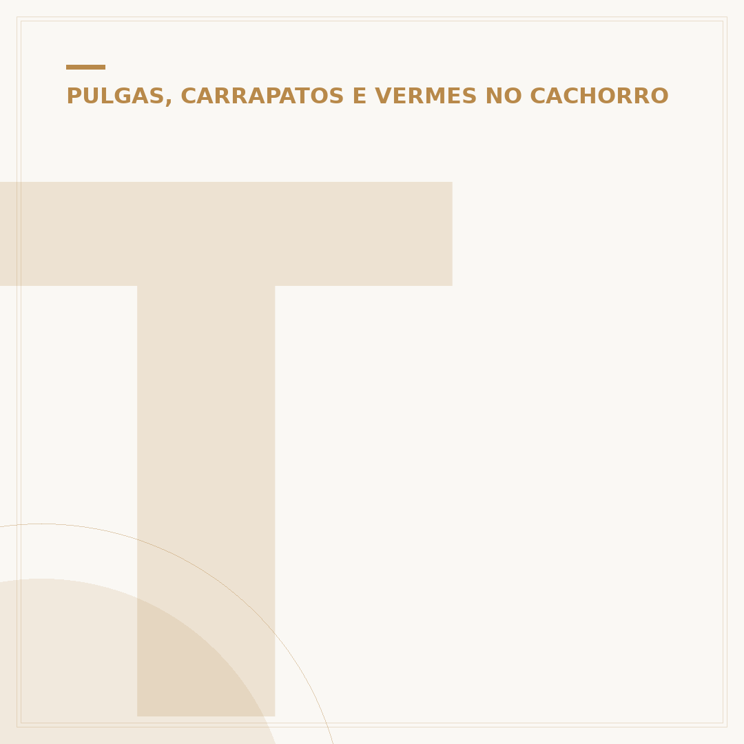 Tipos de carrapato de cachorro: conheça os parasitas