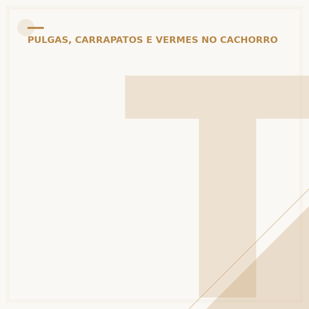 Tipos de pulga de cachorro: conheça as mais comuns