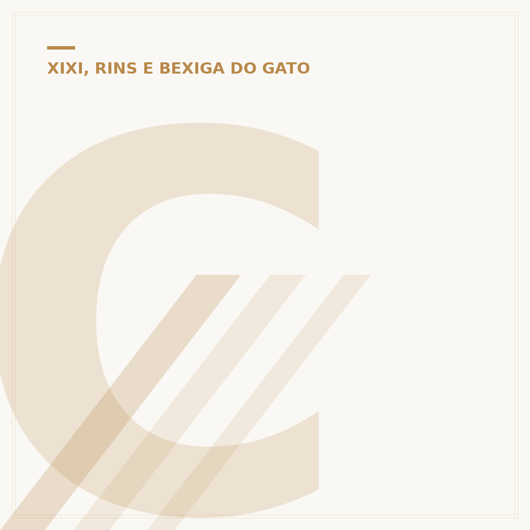 Como tirar cheiro de xixi de gato do tapete