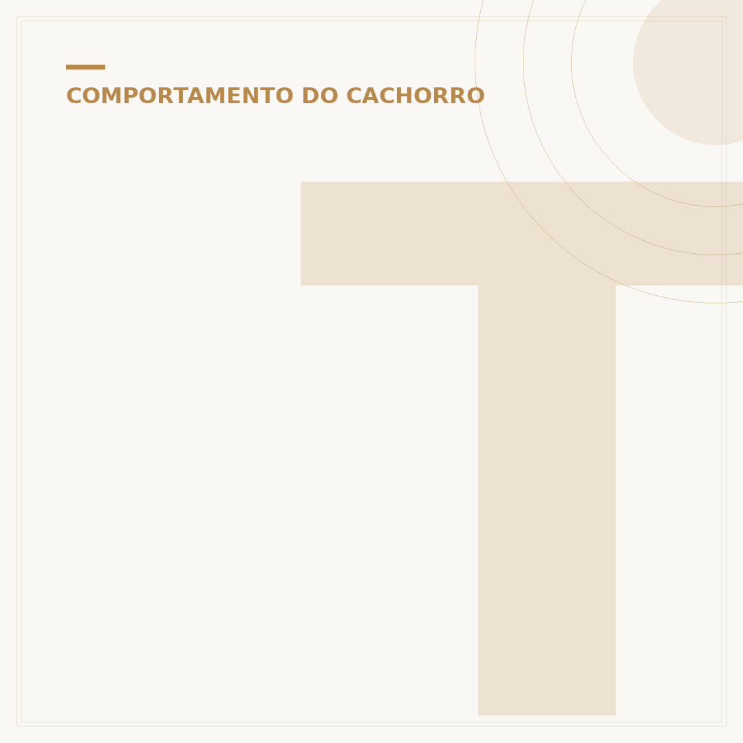 Todo cachorro sabe nadar: mito ou verdade?