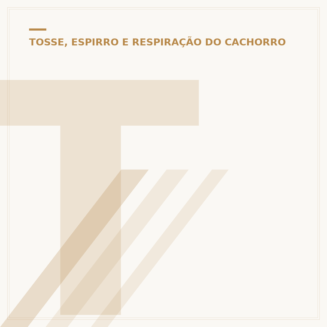 Tosse de cachorro em humanos: o que pode ser e como agir