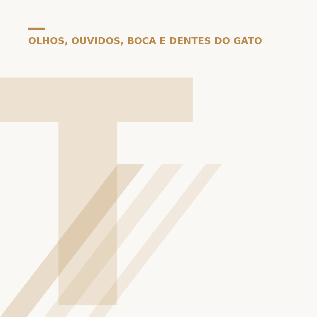 Touca com orelhas de gato: estilo e diversão