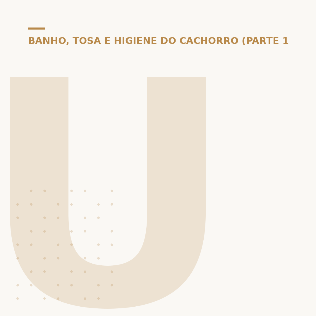 Unha de cachorro: cuidados, cortes e problemas comuns