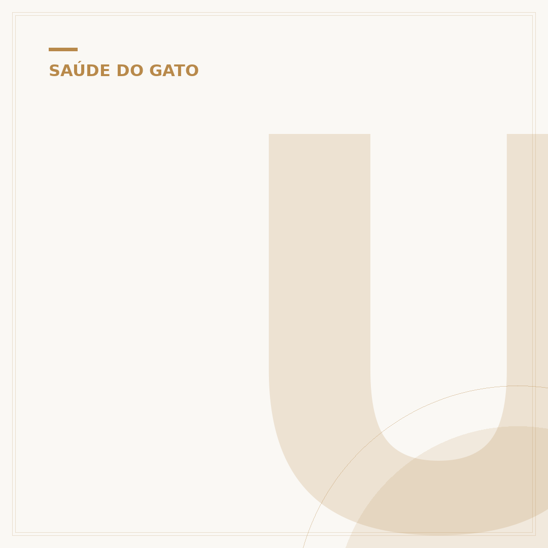 Ureia alta em gatos: causas, sintomas e o que fazer