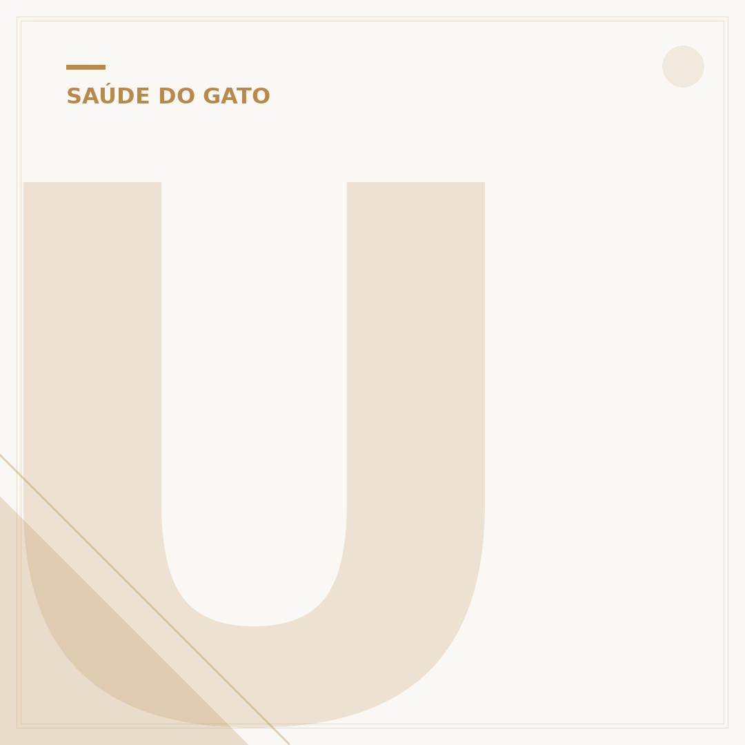 Ureia e creatinina alta em gatos: o que significa?