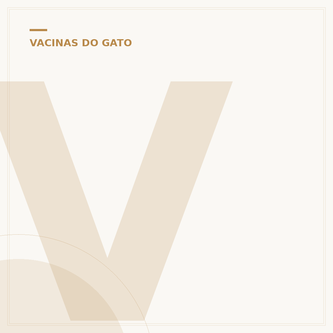 Vacinas dos gatos: o que seu felino precisa saber