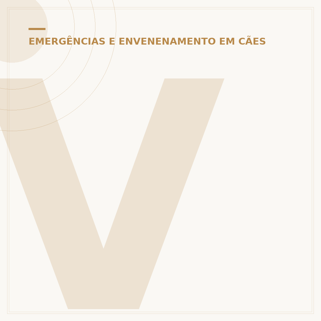 Vacinei meu cachorro e ele morreu: causas e o que fazer