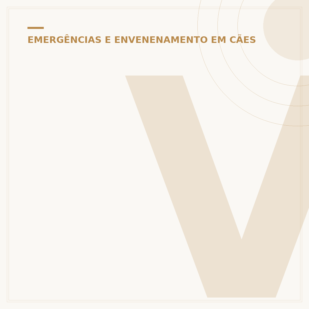 Veneno poderoso faz mal para cachorro? Entenda os riscos