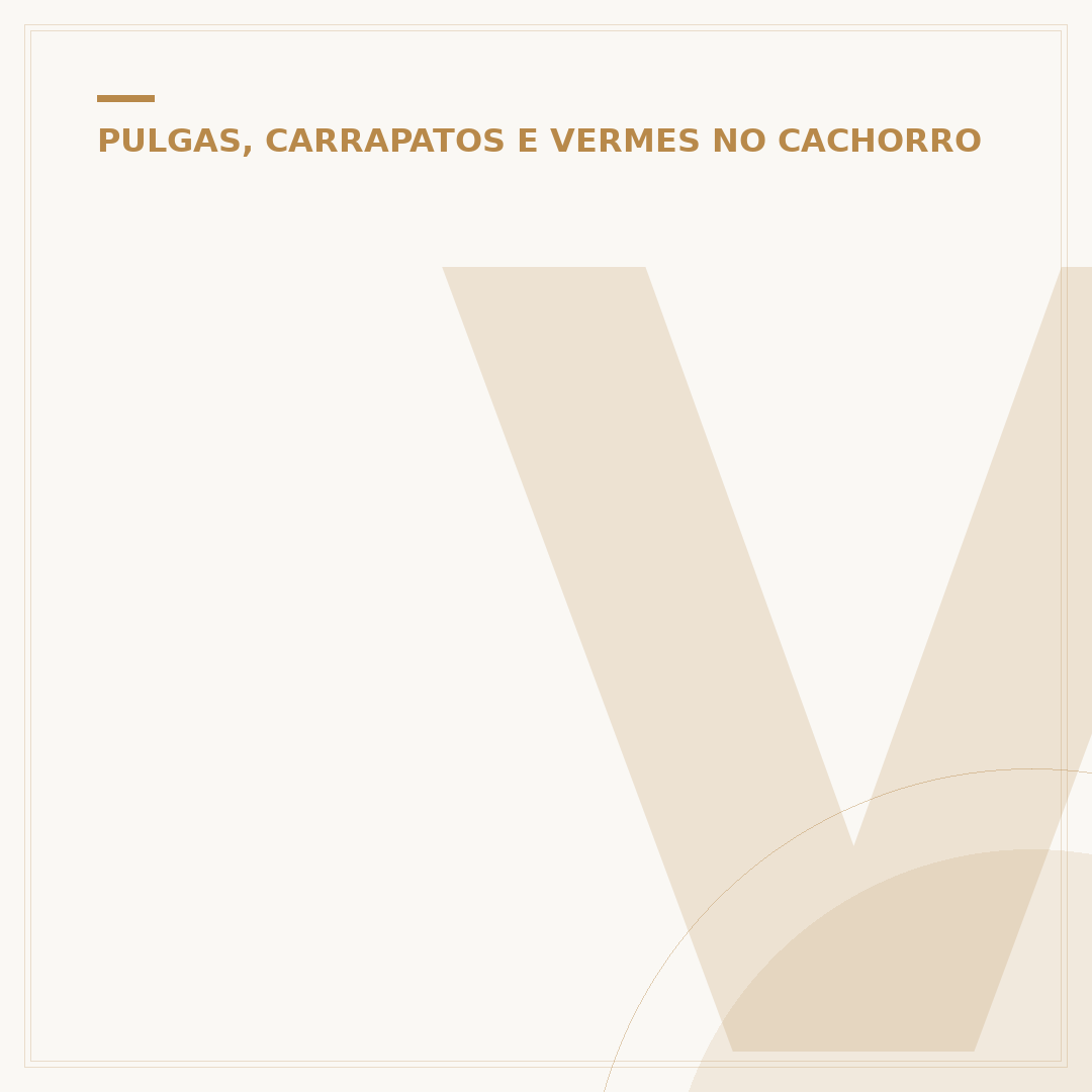 Veneno para matar carrapato no cachorro