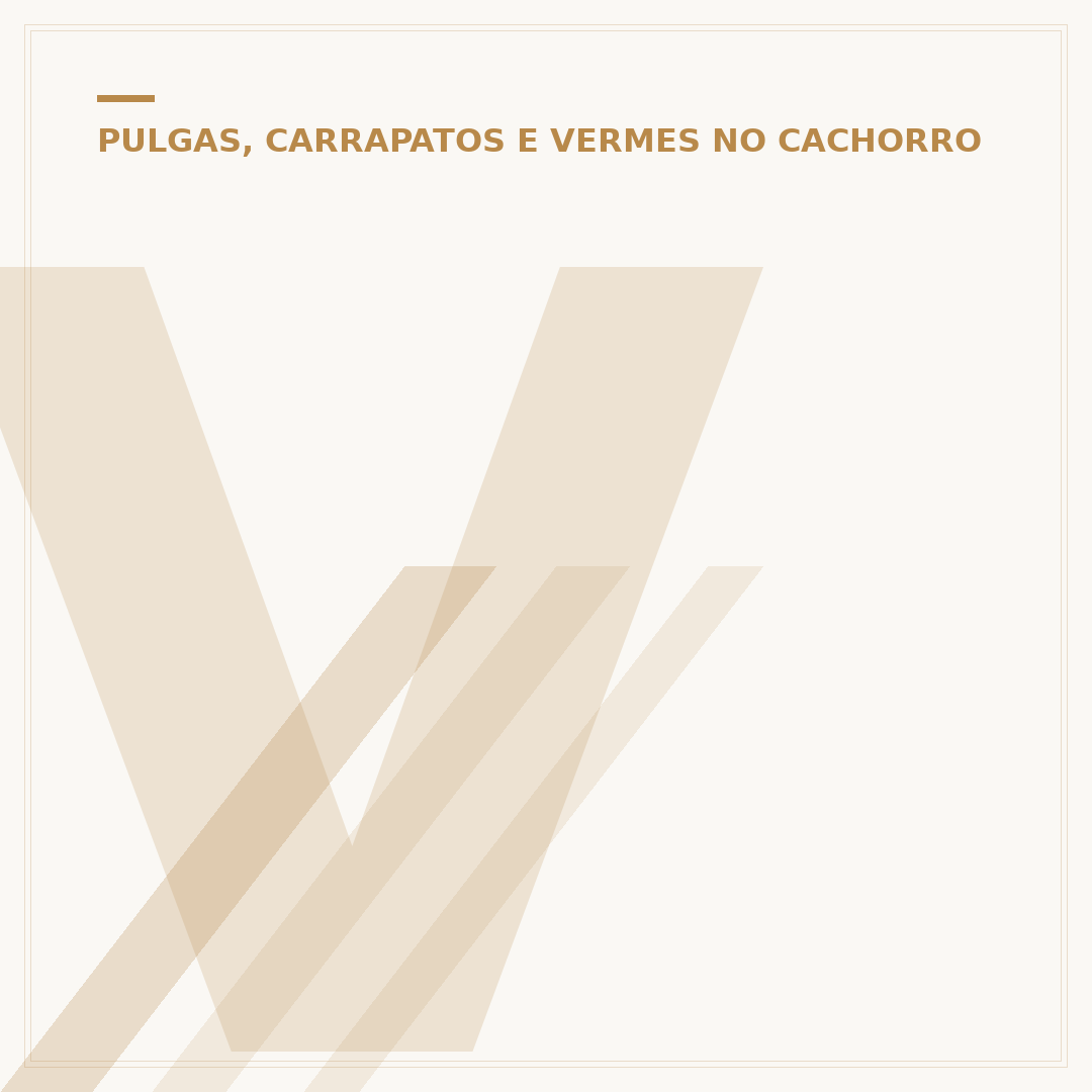 Veneno para carrapato em cachorro